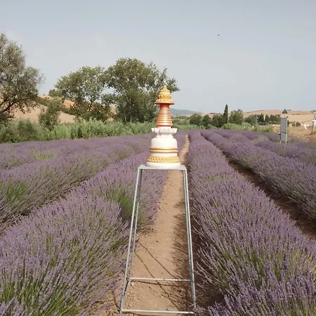 Casa Storica Con Terrazzo Дом отдыха Кастеллина-Мариттима